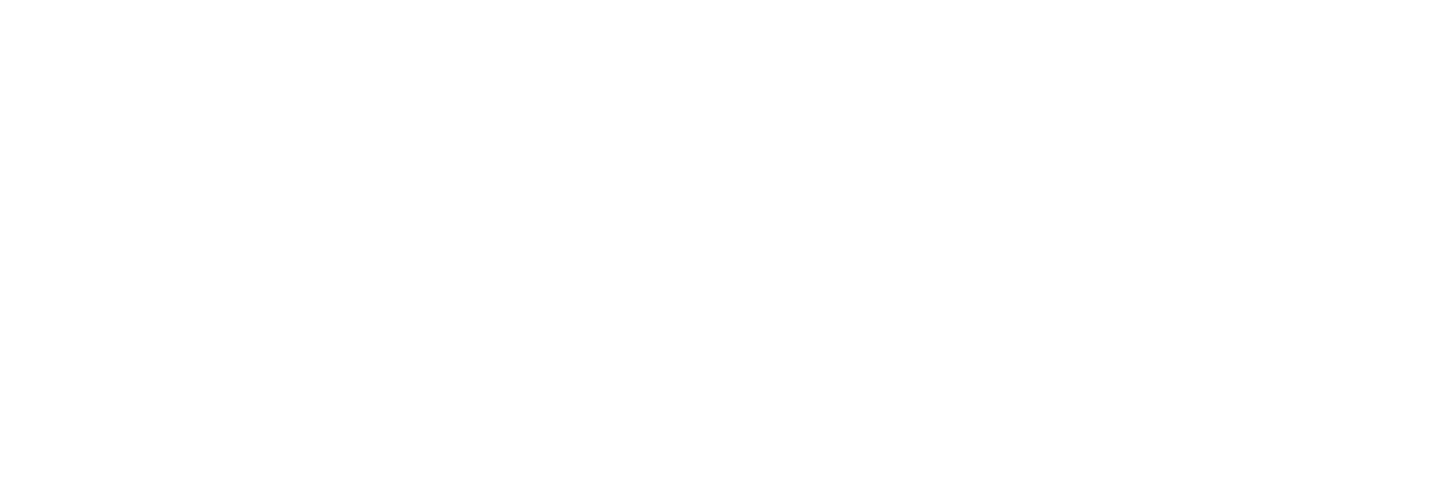 Odonata Interactive Logo